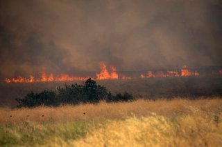 Les pompiers luttaient lundi sur plusieurs fronts dans la région et tentaient d'arrêter la progression de l'incendie vers le parc national de Dadia, qui avait déjà subi des dégâts importants à cause des incendies de forêt l'année dernière.